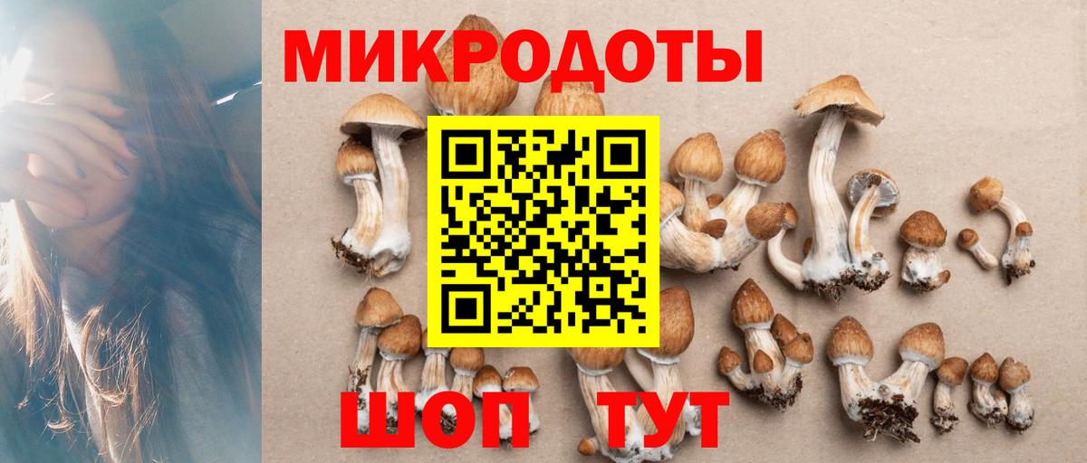 Галлюциногенные грибы мицелий Ессентуки