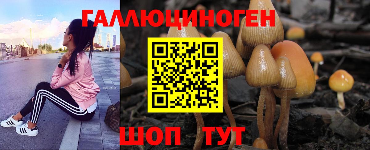 Псилоцибиновые грибы Psilocybine cubensis  Псилоцибиновые грибы ЛСД  Вход с VPN  Ессентуки 